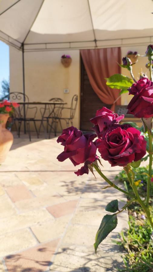 Il Casale Di Fiore Cannara Екстериор снимка