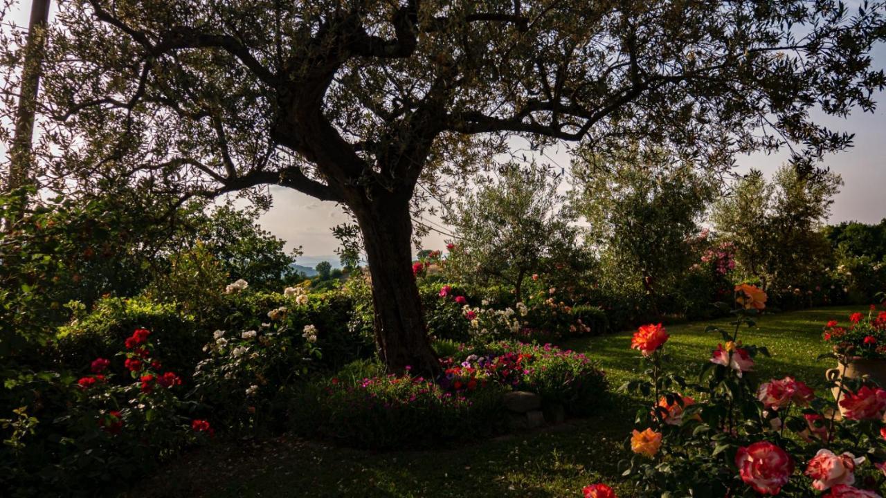 Il Casale Di Fiore Cannara Екстериор снимка