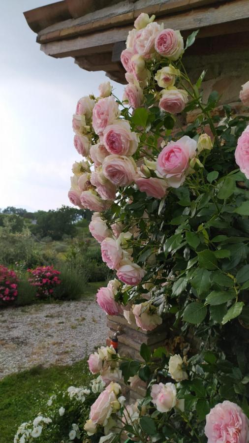 Il Casale Di Fiore Cannara Екстериор снимка